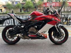 QJMOTOR Race 350 - ფოტო 5