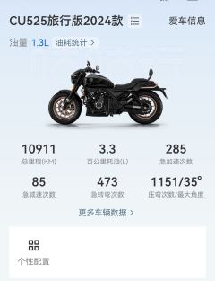 Voge CU525 500 cc - ფოტო 8