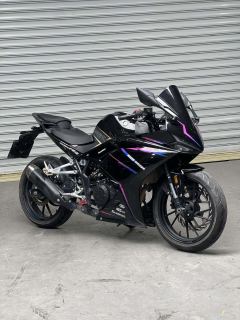 Kayo 250RR Thornbird - ფოტო 1