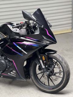 Kayo 250RR Thornbird - ფოტო 2