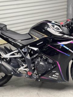 Kayo 250RR Thornbird - ფოტო 3