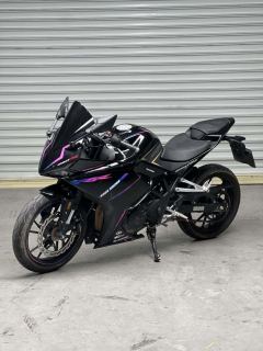 Kayo 250RR Thornbird - ფოტო 5
