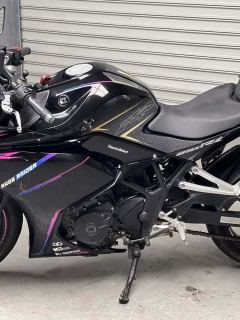 Kayo 250RR Thornbird - ფოტო 8