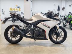 Kayo 250RR Thornbird - ფოტო 4