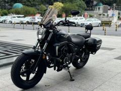 Haojue TR300 - photo 6