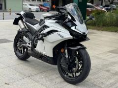 CFMOTO 500SR - ფოტო 2