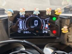Kayo 250RR Thornbird - ფოტო 5