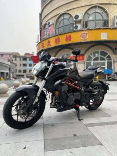 QJMOTOR Chase 350 - ფოტო 2