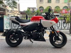 CFMOTO Papio XO-1 125 cc - фото 5
