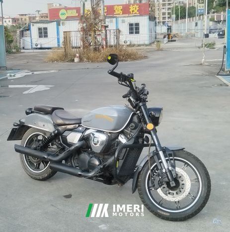 2019 Longjia V-track 250