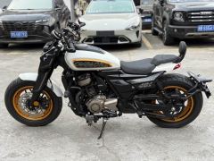 Cyclone AQS401 400 cc - ფოტო 6