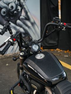 Benda Polestones 03 Gray 300 cc - photo 3