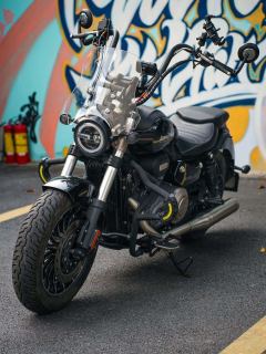 Benda Polestones 03 Gray 300 cc - photo 6
