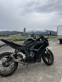 Voge 250RR - фото 5