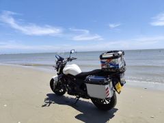 Benelli TNT 300 / BN 302S - ფოტო 3