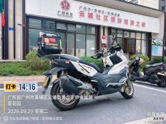 SYM Husky ADV300 - фото 5