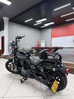 Harley-Davidson Nightster 975 cc - ფოტო 7