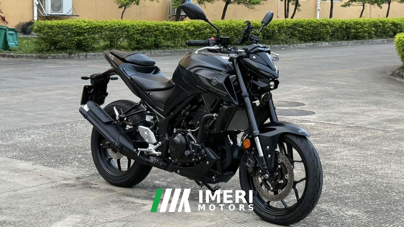 2022 Yamaha MT-03 320 cc