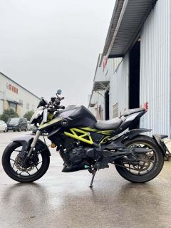 QJMOTOR Chase 350 - ფოტო 5