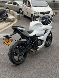QJMOTOR SRK 250 - фото 5