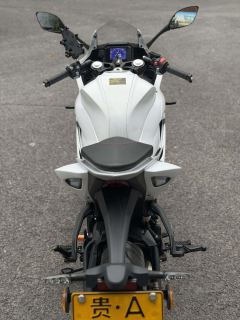 QJMOTOR SRK 250 - фото 6