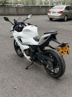 QJMOTOR SRK 250 - фото 7
