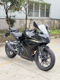 Kayo 250RR Thornbird - ფოტო 1
