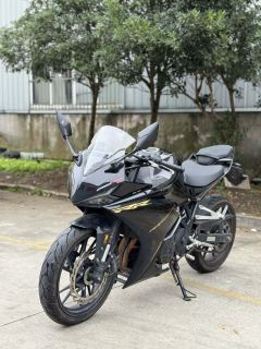 Kayo 250RR Thornbird - ფოტო 2