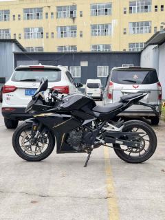Kayo 250RR Thornbird - ფოტო 3