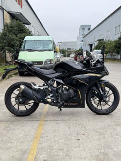 Kayo 250RR Thornbird - ფოტო 4