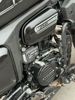 Cyclone RA250 - ფოტო 2