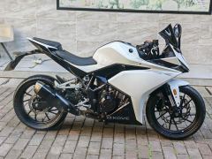 Kayo 250RR Thornbird - ფოტო 3
