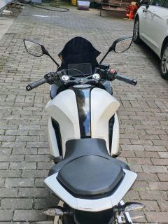 Kayo 250RR Thornbird - ფოტო 6