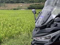 Voge SR4 Max 350 cc - фото 3