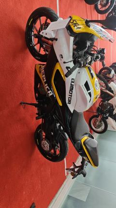 QJMOTOR SRK 250 - фото 1