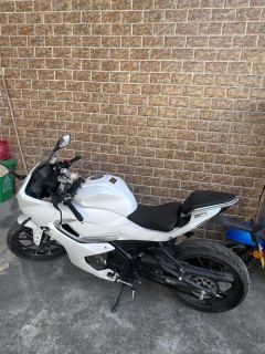 QJMOTOR SRK 250 - photo 2