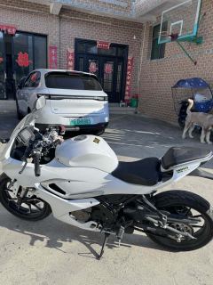 QJMOTOR SRK 250 - photo 3