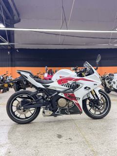 QJMOTOR SRK 250 - photo 4