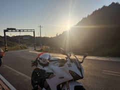 QJMOTOR SRK 250 - ფოტო 1