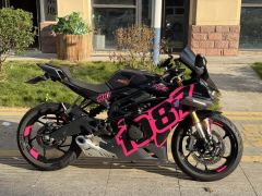 Kayo 450RR - ფოტო 4