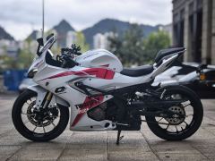 QJMOTOR SRK 250 - ფოტო 2