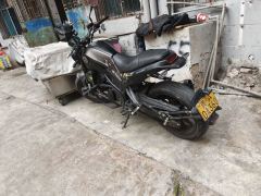 Benelli Young Lion Leoncino 250 - ფოტო 1