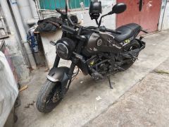 Benelli Young Lion Leoncino 250 - ფოტო 2