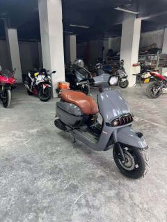 Weiduoliya Sixties 150Si - ფოტო 3