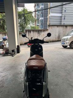 Weiduoliya Sixties 150Si - ფოტო 6