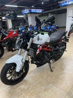 Benelli BJ300GS - ფოტო 3