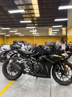 Kayo 250RR Thornbird - ფოტო 3