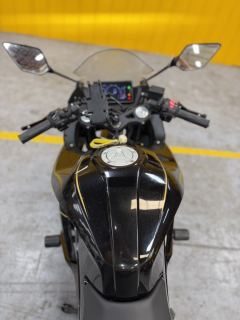 Kayo 250RR Thornbird - ფოტო 4