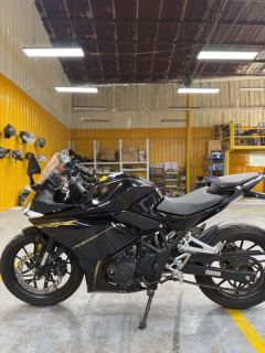 Kayo 250RR Thornbird - ფოტო 6