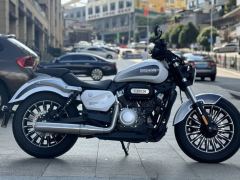 Benda Polestones 03 Gray 300 cc - ფოტო 2